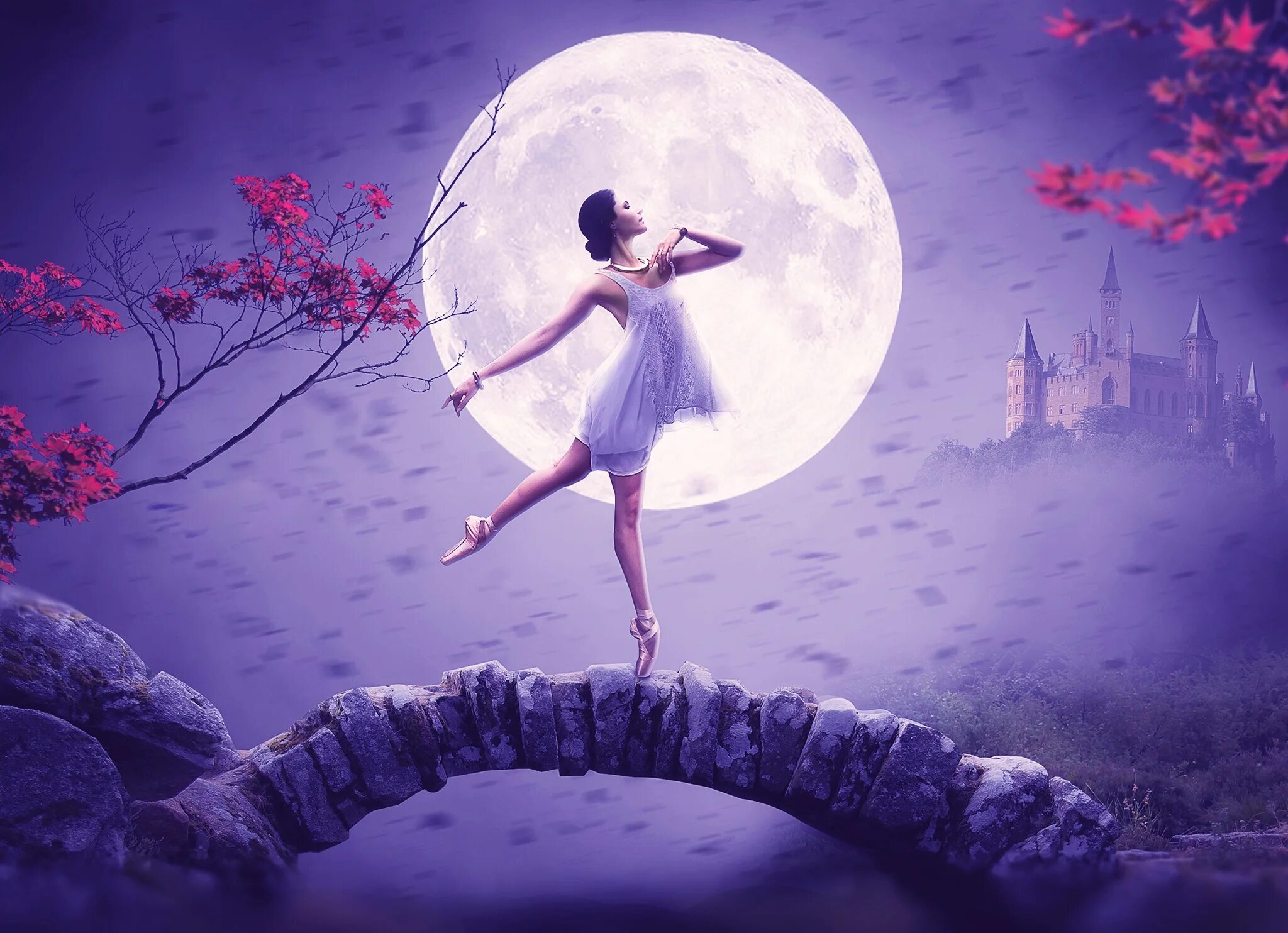 Девочка луна танцуй. Девушка-Луна. Девушка балерина. Лунная девушка. Балерина на фоне Луны.