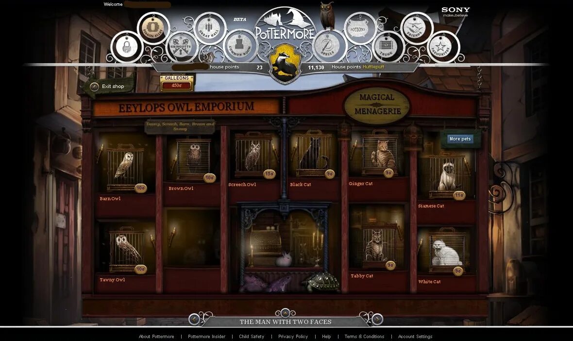 Поттермор 2011. Сайт поттермор. Станция поттермор. Pottermore самое начало. Apothecary harry potter.