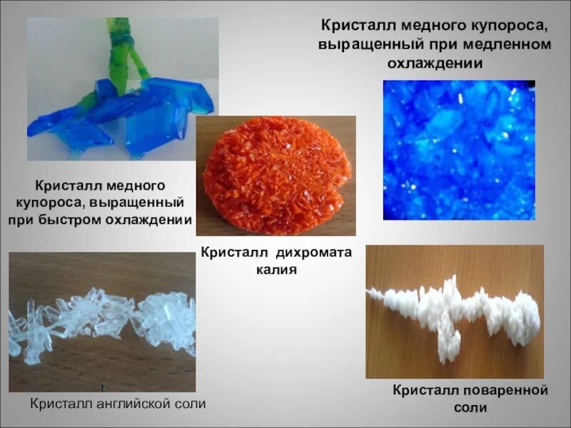 Медный купорос лабораторная работа. Кристаллы медного купороса. Кристаллы соли и медного купороса. Медный купорос Кристалл вырастить. Вырастить Кристалл из медного купороса и поваренной соли.