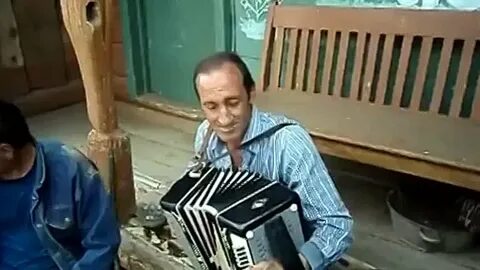 Белая береза на баяне