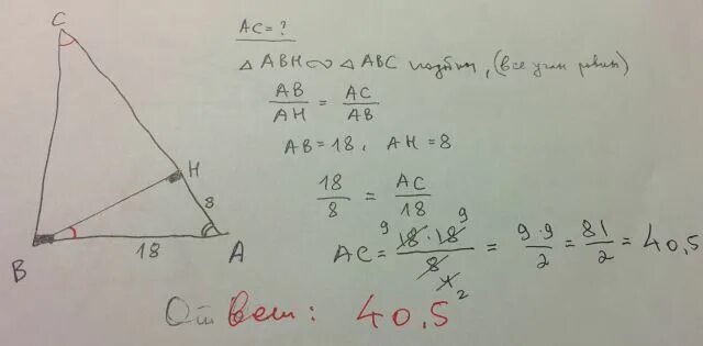 Треугольник ABC С высотой BH. Точка h является высотой BH. Точка н является основанием. Точка являющаяся основанием высоты.