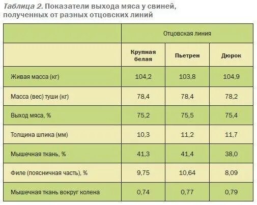 Сколько процентов от веса. Выход мяса свиньи от живого веса таблица. выход мяса свинины от живого веса таблица. живой вес свиньи таблица выхода мяса. процент мяса от живого веса у свиней.
