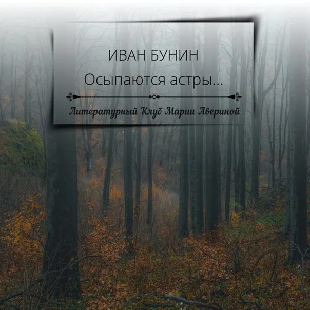 Бунин астры в саду. Бунин осыпаются астры. Бунин осыпаются астры в садах стихотворение.