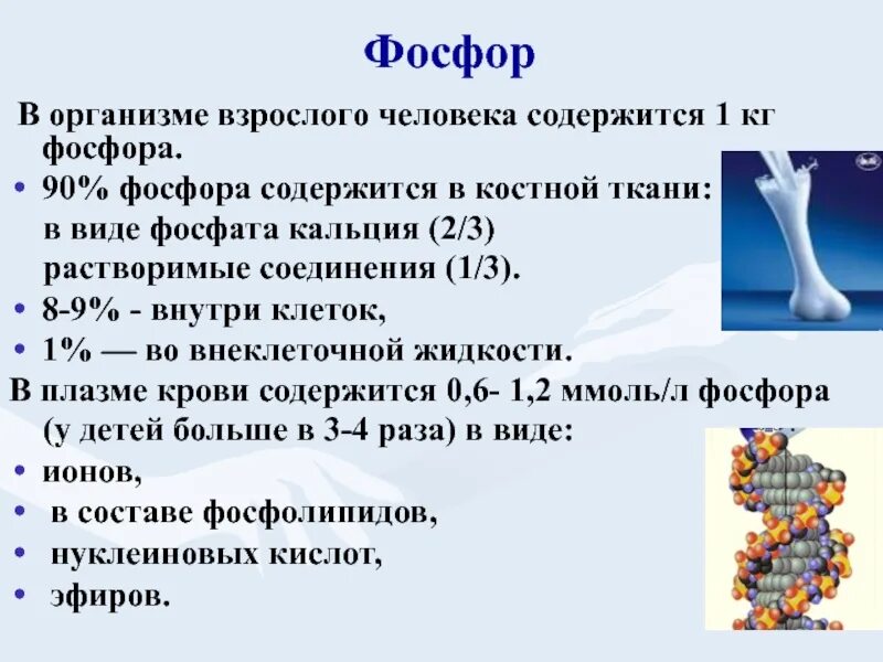 Функции кальция и фосфора в организме. Функции ионов фосфора в организме:. Функции кальция и фосфора в организме человека. В организме человека фосфор содержится.