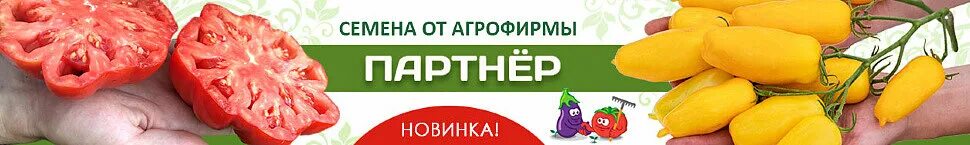 Семена партнер почтой интернет. Перец пилот f1 "партнер" 10 шт. Семена фирмы партнер. Семена томатов фирма партнер название. Сорт цветного капуста мовир – 74.