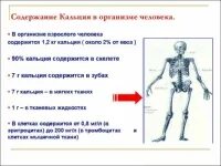 Значение костной ткани в организме человека