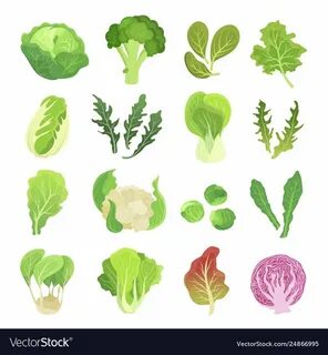 Leafy vegetables