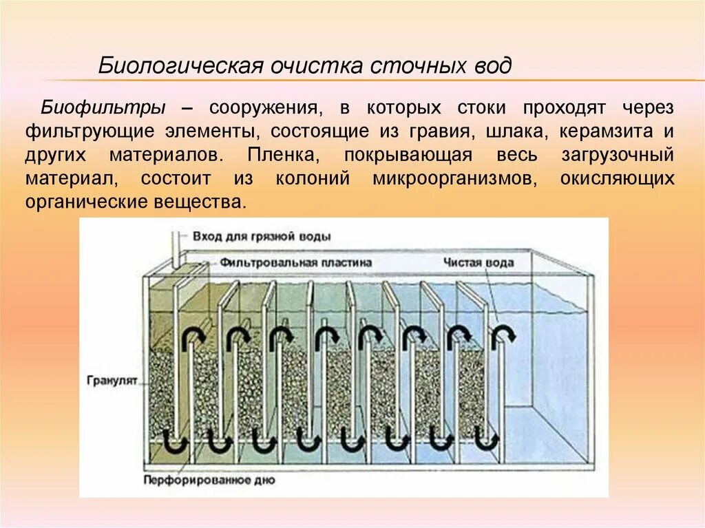 Биофильтры для очистки воздуха схема. Биофильтр сточных вод. Биофильтры для очистки сточных вод. Биологическая очистка сточных вод биофильтры. Фильтрация очистка сточных вод