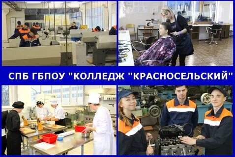 Специальности колледж спб