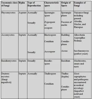 Значение classes