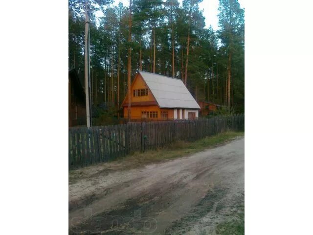 Авито марии эл животные
