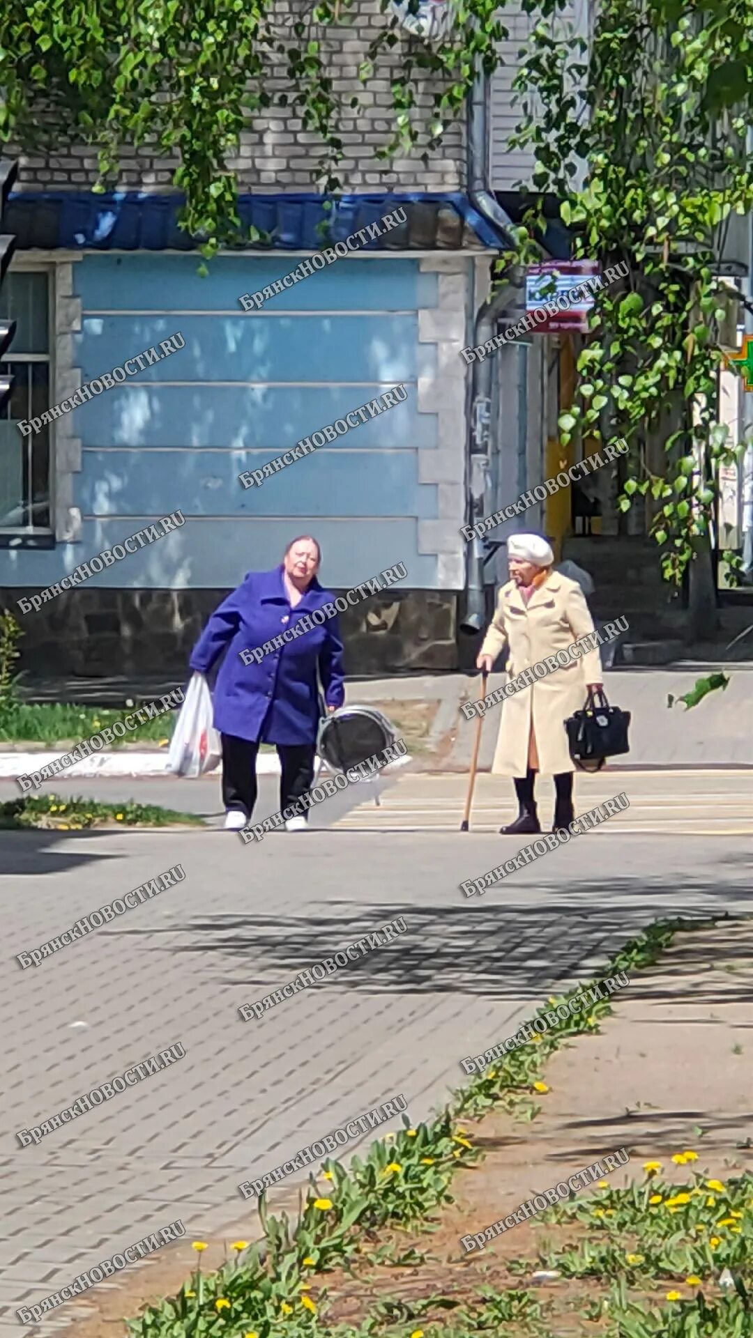 Новости для пенсионеров с 1 апреля. Начальник пенсионного фонда Новозыбков. Самозанятый пенсионер. Пенсии повысят. В Новозыбкове пенсия выход.