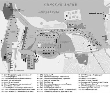 Где находится петербургский нефтяной терминал