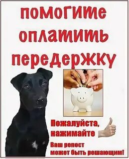 Передержка это