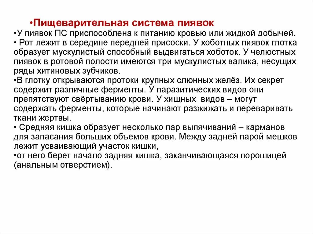 Медицинская пиявка кольчатый червь. Известно что большинство пиявок питается кровью. Известно что большинство пиявок питается кровью. Известно что большинство пиявок питается кровью. Биология 7 класс пиявкигирудии.