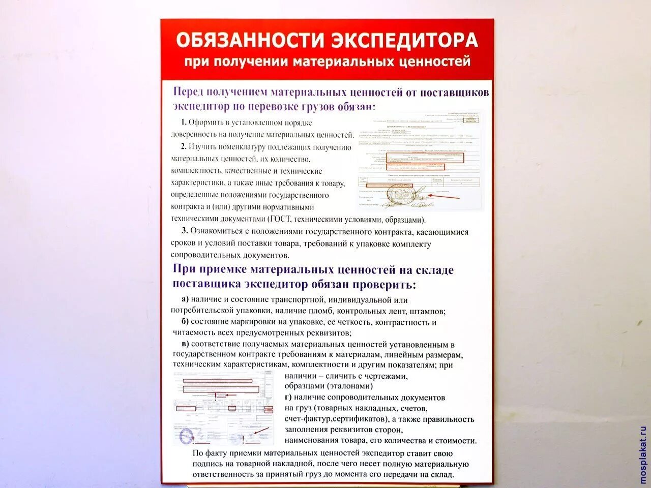 Инструкция по получению документов. Должностные обязанности водителя-экспедитора грузового автомобиля. Должностная инструкция водителя-экспедитора. Должностные обязанности экспедитора по перевозке грузов. Обязанности водителя экспедитора.