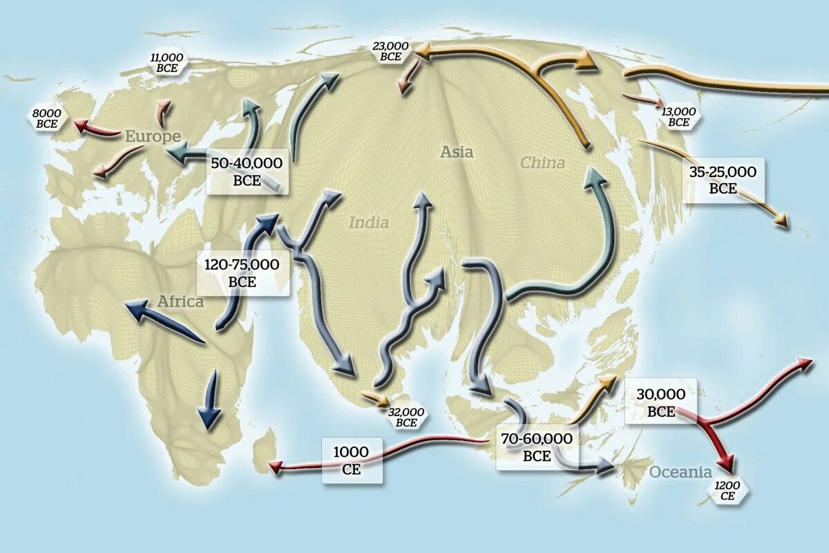 Расселение по земному шару. Схема расселения человека. Расселение человека по планете. Карта миграции человечества. Расселение людей по земному шару.