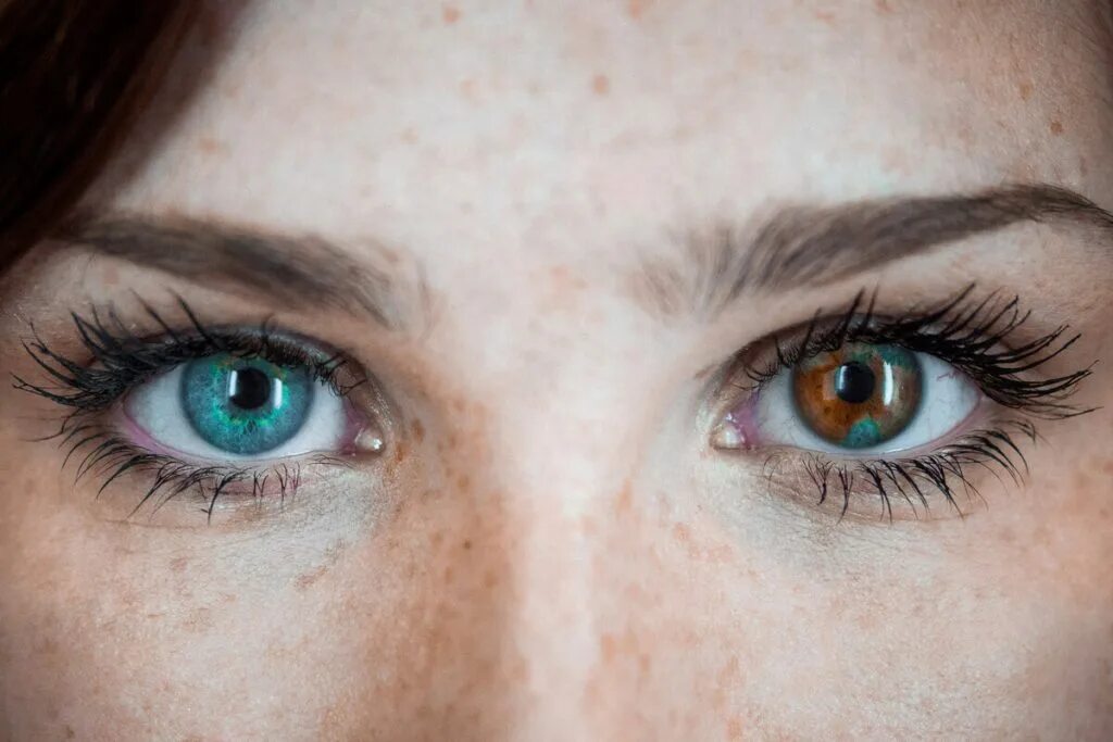 Eyes reason