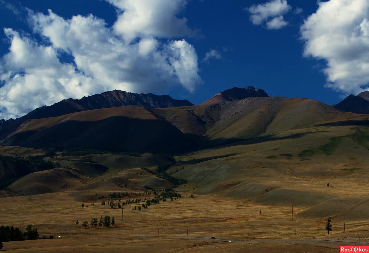 Курай (Республика Алтай). Деревня курай. Курай с высоты. Село курай фото.