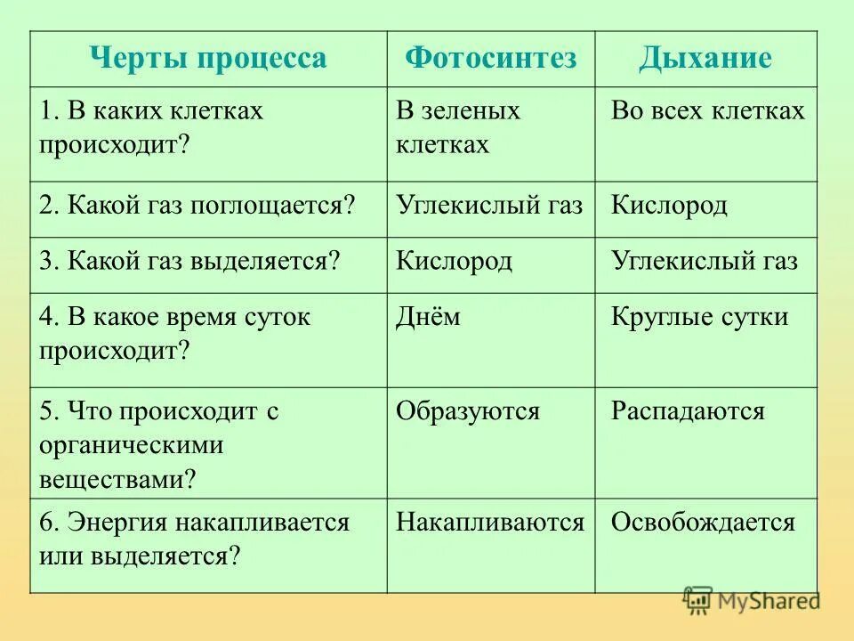 какой газ поглощаеться фотосинтез и д. значение фотосинтеза таблица. дыхательный процесс в клетках растений. что поглощается фотосинтез. какой газ выделяется при фотосинтезе и дыхании.
