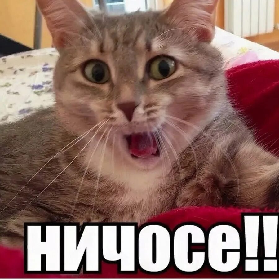 Совсем круто