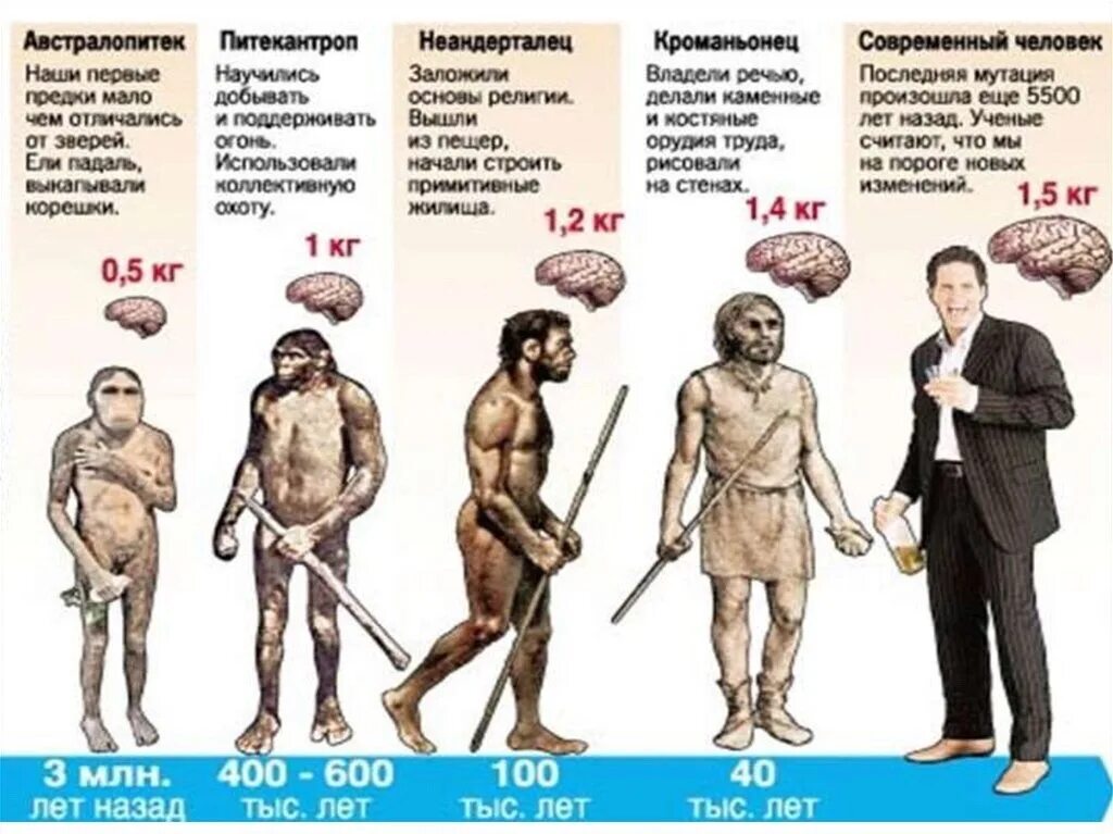 Ступени развития человека хомо сапиенс. Таблица эволюции неандерталец кроманьонец. Эволюция человека неандерталец кроманьонец. Типы древних людей. Общее название людей