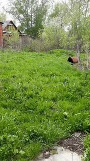 Томская продам участок