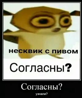 Понять или согласиться