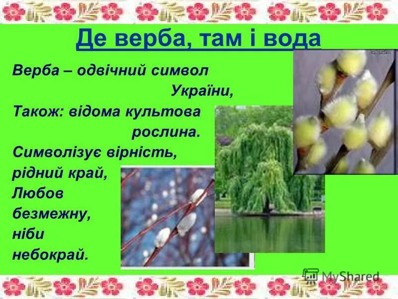 Что символизирует верба. Верба символ. Приказки про вербу. Верба у воды. Проект про вербу.