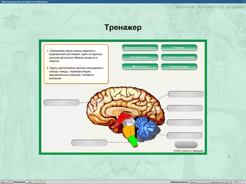 Темы рефератов по биологии 5 класс