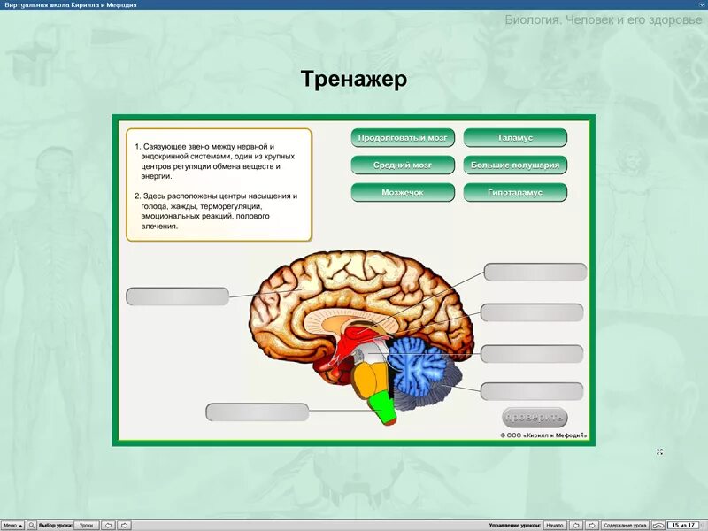 Урок биологии 8 класс. Биология 8 класс темы уроков. Кириллов биология. Урок фгос биология 7 класс