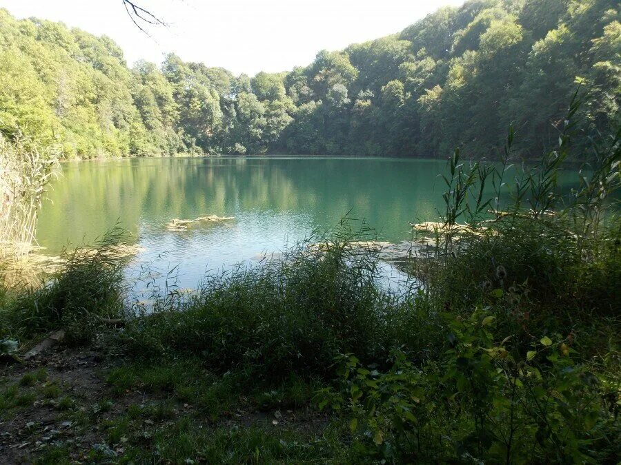 Лабинск озеро. Озеро круглое Краснодарский край Лабинский район. Круглое озеро Ахметовская Краснодарский. Круглое озеро Ахметовская Краснодарский край. Чёрное озеро Краснодарский край Лабинский район.