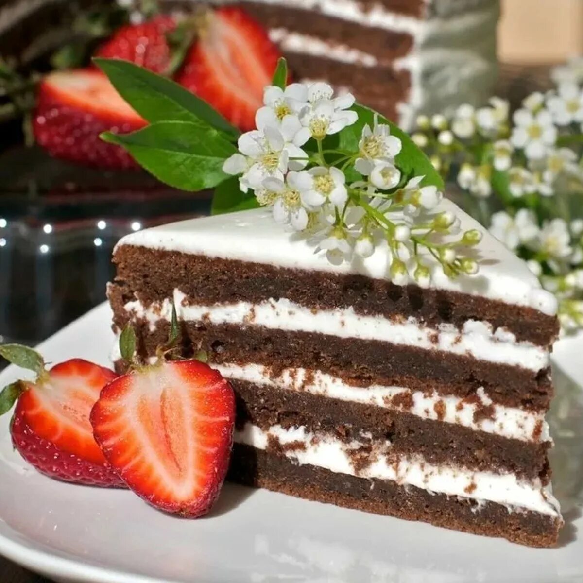 торт черемуха. черемуховый сметанник. торт черемуха. черемуховый сметанник. торт из черемухи.