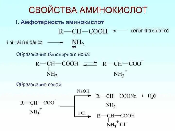 Аланин кислота реакция. Образование биполярного Иона аминокислот. Образование биполярного Иона аминоуксусной кислоты. Уравнение реакций подтверждающих Амфотерность аминокислот.