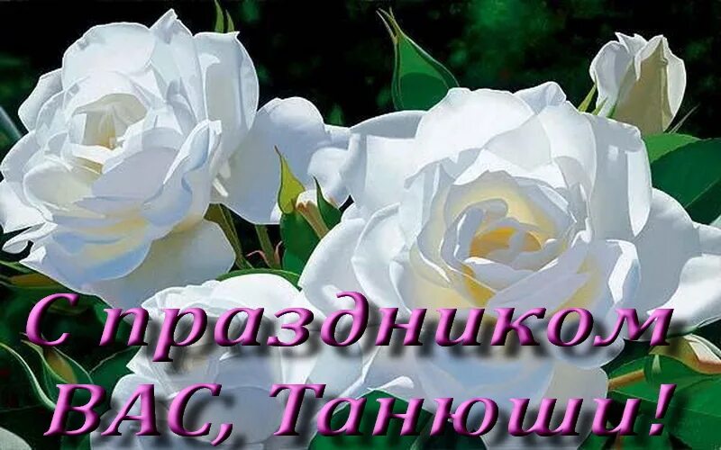 открытка "в день татьяны!". открытки с днём татьянины. открытка. всех танюшек с днем татьяны. татьянин день открытки.