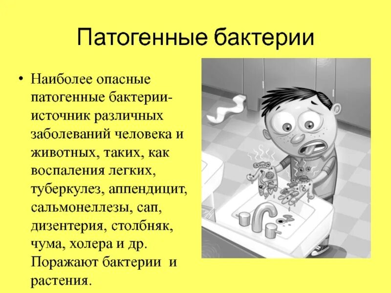 Роль болезнетворных бактерий. Опасные микроорганизмы для человека. Полезные и болезнетворные бактерии. Полезные и вредные бактерии для человека. Болезнетворные бактерии человека.