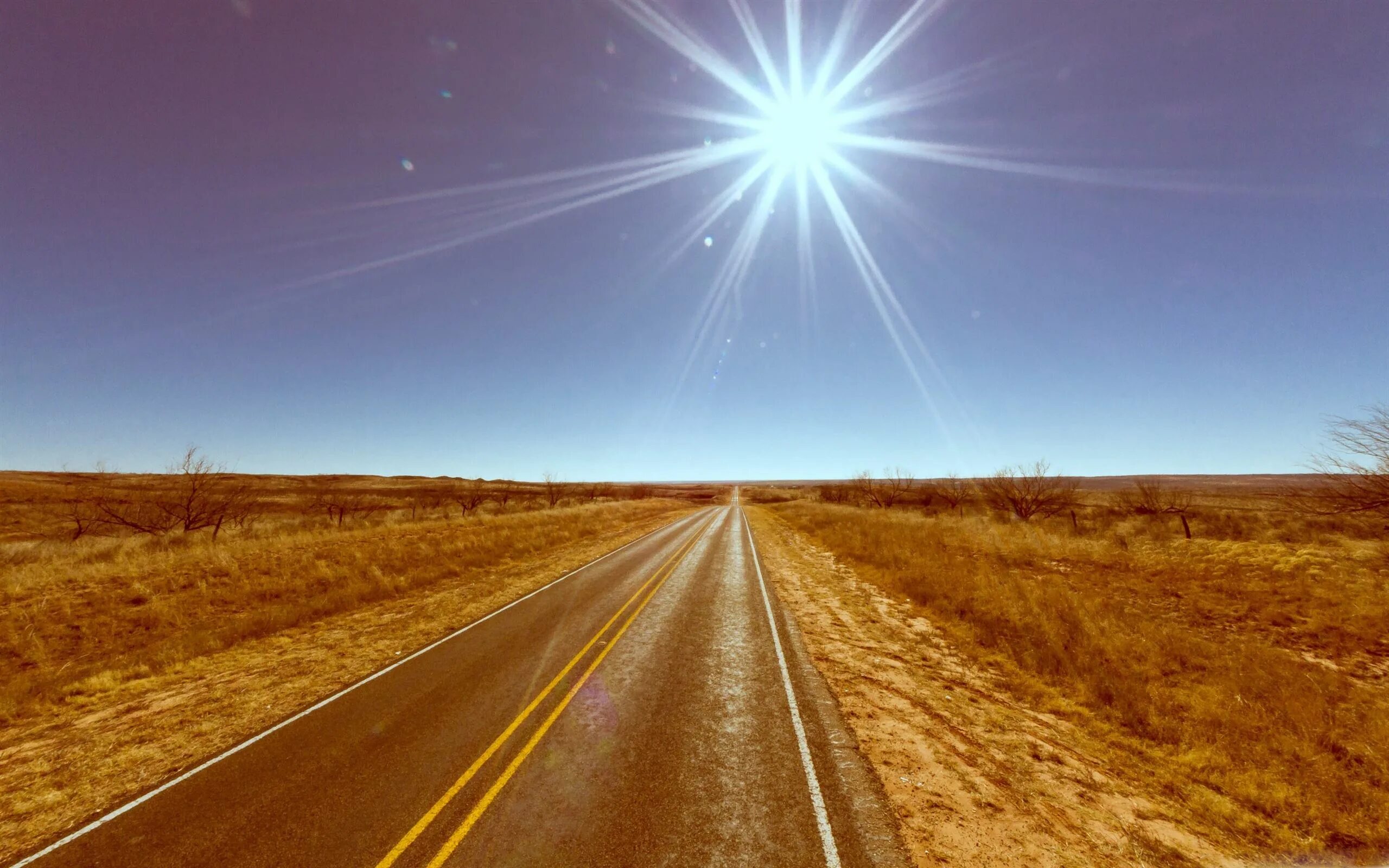 В предвкушении путь. Солнце на дороге. Светлая дорога. Солнечная дорога. Дорога вдаль.