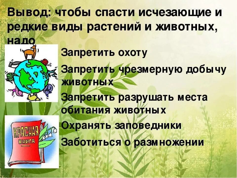 Что можно сделать для сохранения. Охрана природы красная книга. Охрана редких растений и животных. Охрана животных и растений из красной книги. Редкие виды животных и растений.