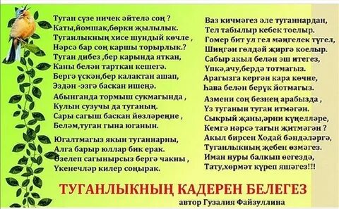 Туганым перевод