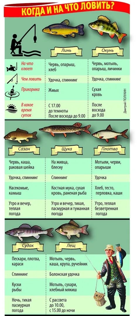 Законы ловли рыбы. Шпаргалка рыбака. Рыбаку на заметку. Какую рыбу ловят на спиннинг. Когда какую рыбу ловить.