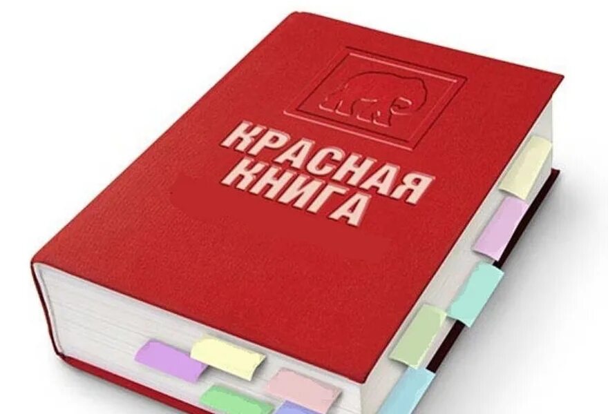 Международная книга россии