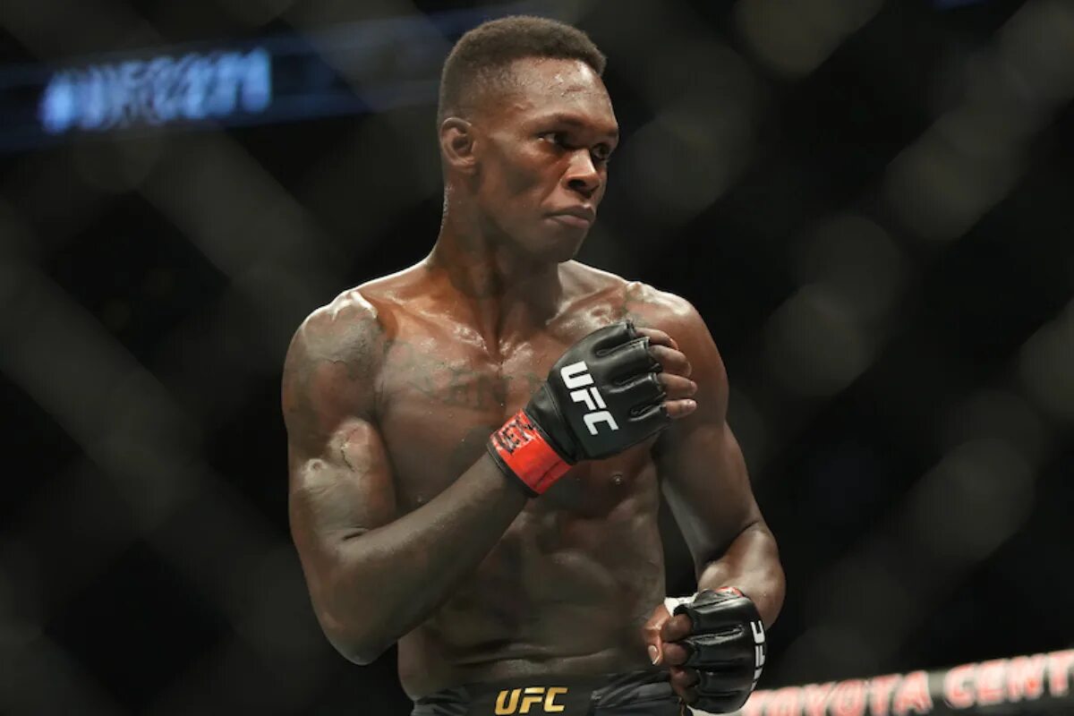 Чемпион ufc дю плесси. Исраэль адесанья дю плесси бой. Dricus du plessis. Исраэль адесанья дю плесси бой. Чемпион ufc дю плесси.
