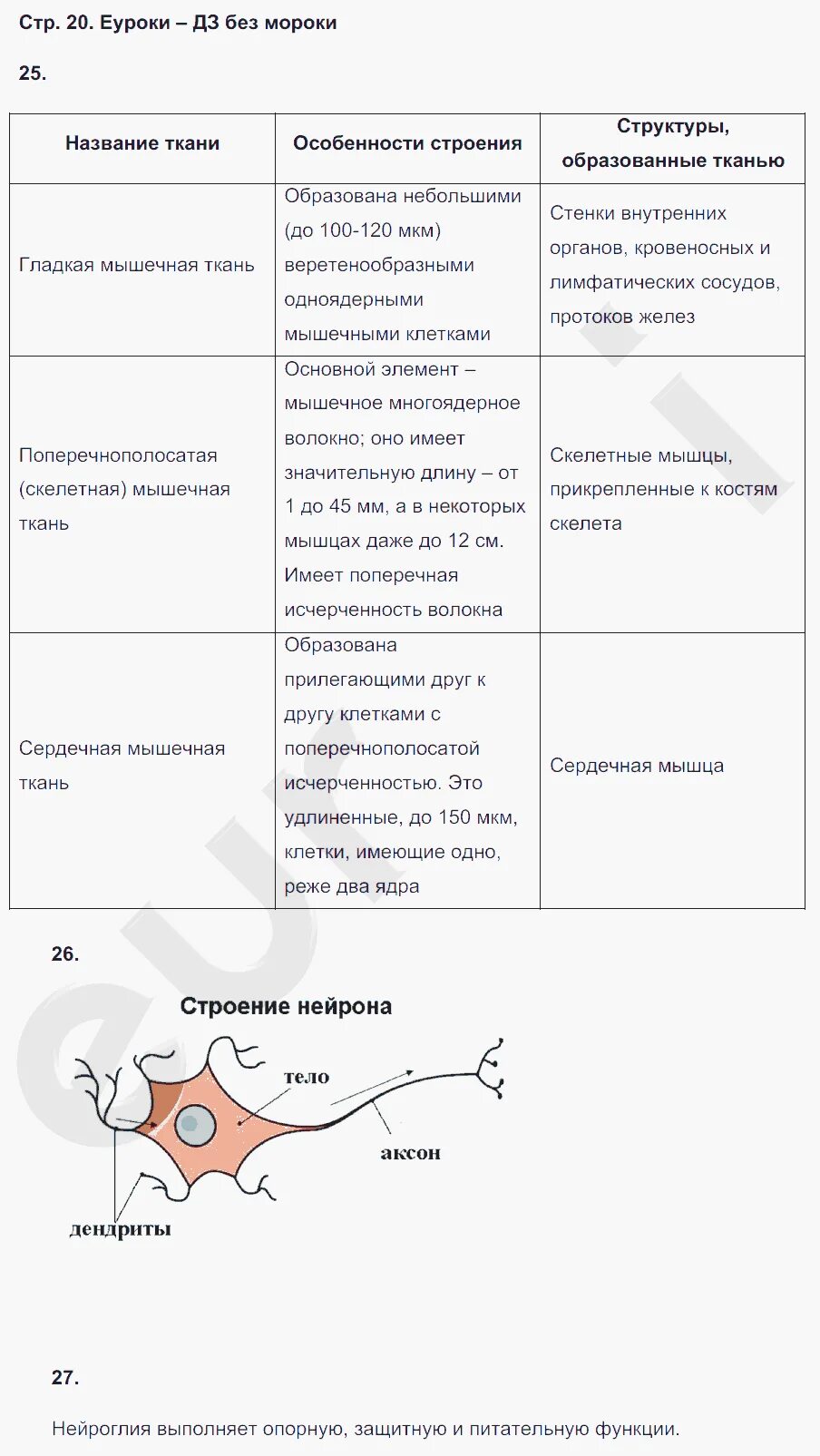 Биология 8 класс рабочая тетрадь агафонова. Практические задания по биологии 8 класс Сонин, Агафонова. Биология 8 класс Сонин Сонина. Биология 8 класс рабочая тетрадь Сонин.