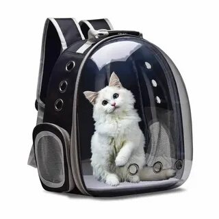 Рюкзак для кота