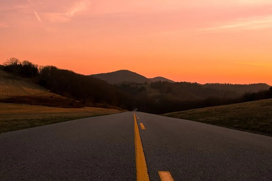 Путь дорога отзывы. Длинная дорога с деревьями. Дорога путь. Путь дорога отзывы. Путь дорога отзывы.