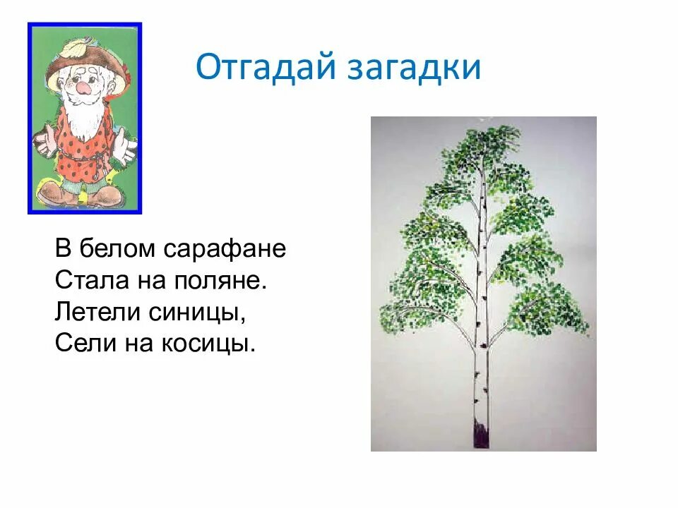 Отгадай загадку цвет белый
