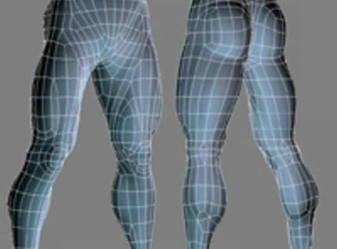 Leg 3d. Нога 3д модель. нога 3d модель. цифровая нога. weight paint legs 3d.