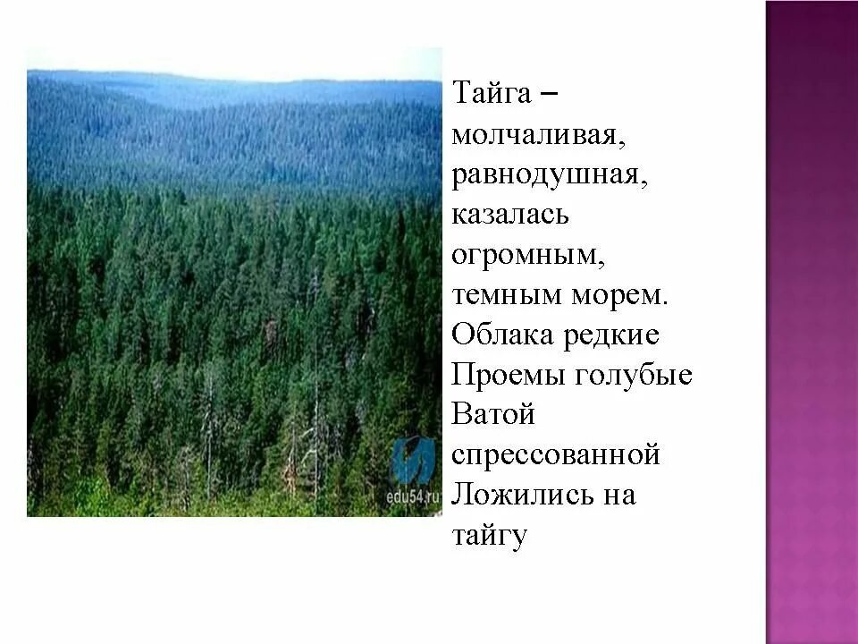 Правила тайги из рассказа васюткино озеро. Описание тайги. Рассказ о тайге. Стихи про тайгу. Фразы о тайге.