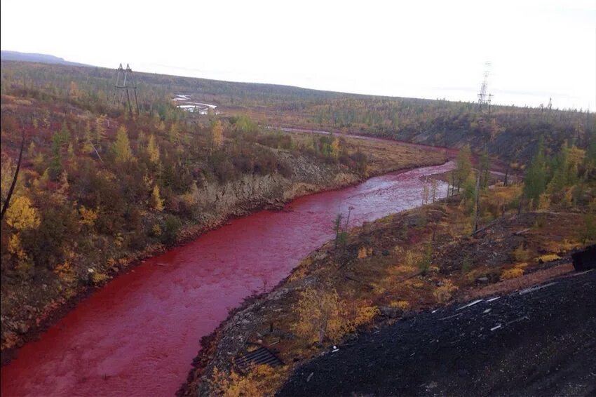 Горючая река. Река Далдыкан в Норильске. Красная река Далдыкан в Красноярском крае. Кровавая река Далдыкан Норильск. Красная река (River Runs Red).