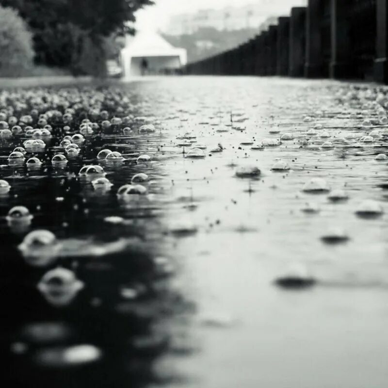 Черно белое фото дождь. Дождь грусть. черно белый дождь. черно белая грусть. дождь картинки грустные.